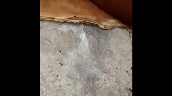 Image Elvie Slutty phone compilation having fun with her dildo outside of the house- Part 2