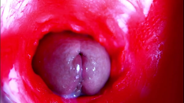 Image Extreme close-up ASMR head inside wet pussy