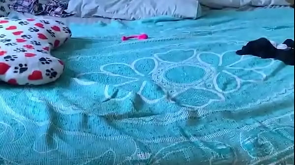 Image Beautiful girl passionately fucks her man in reverse cowgirl -