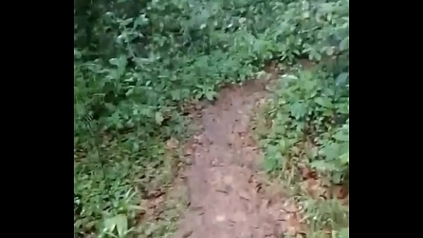 Image Homens Pretos no mato na chuva