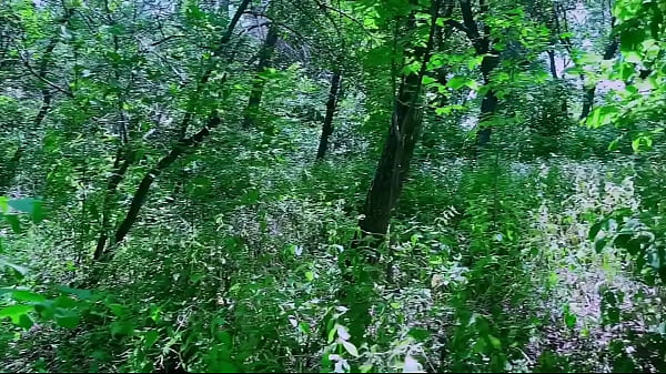 Image Sexo al aire libre con un desconocido