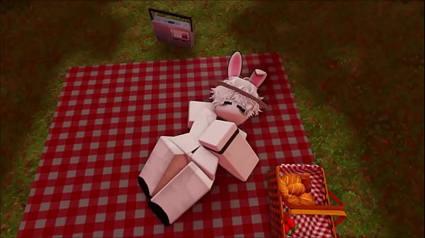 Image V&iacute_deo de verifica&ccedil_&atilde_o