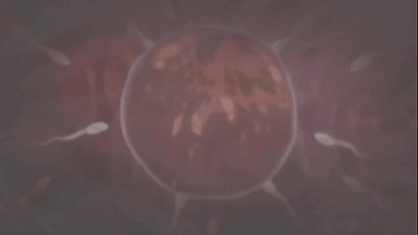 Image Roblox Bunny Girl Gets Fucked By BBC!