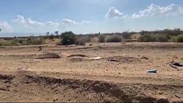 Image What she lacks in the Back, she packs in the CAT