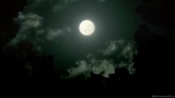 Image Shinobu Sex Training POV Hentai KNY