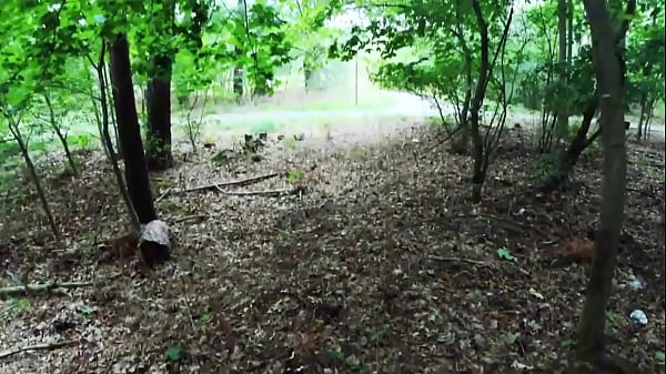 Image Risky German Outdoor Sex with Hot Blonde Milf