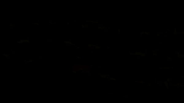 Image MILF Sata Jones Loves Anal