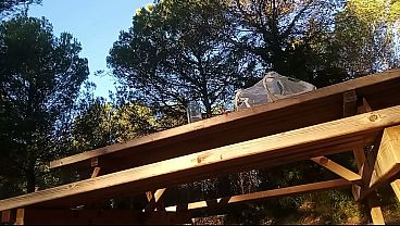 Image En una mesa de picnic en un parque