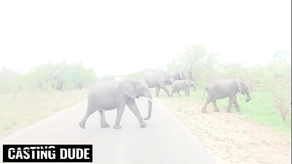 Image Shaved Pussy Ebony Plays With Her Clit Before Deep Throating White Cock