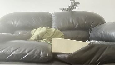 Image Sexy girl Stephanie James - bimbo cum slut has strictly dick on her brain no thoughts just thots