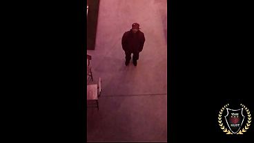 Image Seductive Jaylene Rio Gets Her Muff Eaten And Pounded By Rome Major!