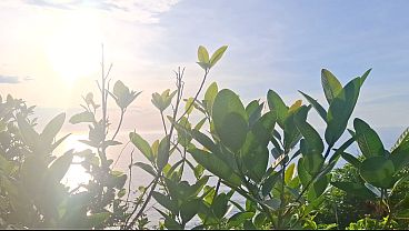 Image Porcelain Doll meets a fan on Guaruj&aacute_ beach