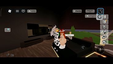 Image V&iacute_deo de verificaci&oacute_n