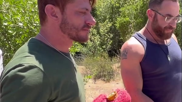 Image Cuando Calienta el sol