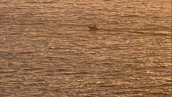 Image dotadao de campinas