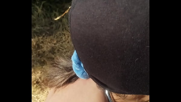 Image 2025 09 11 Esclave F dressage et exhib en ext&eacute_rieur