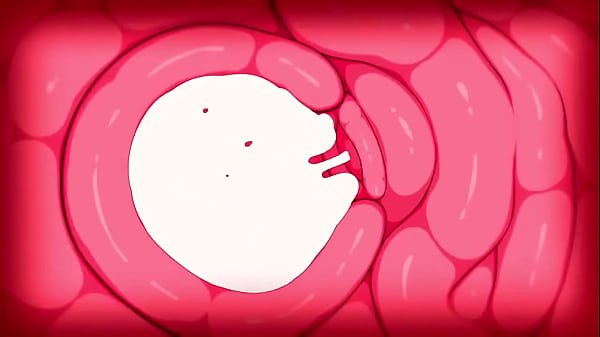 Image Am&eacute_lia se fait b&eacute_sait