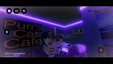 Image Sharks having fun