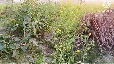 Image Bhabhi ko jungle mein Le jakar chudai ki aur bhabhi ke Munh mein cream bhi nikale hot bhabhi ki rasili chut ke liye