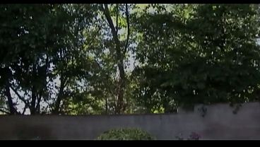 Image Two black teen gets fucked by the same dick