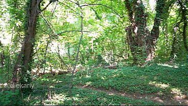 Image hiking trail fun