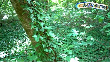 Image HOTTEST HANDJOB EVER