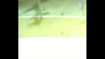 Image 174 The vision of paradise begins below (Vertical)