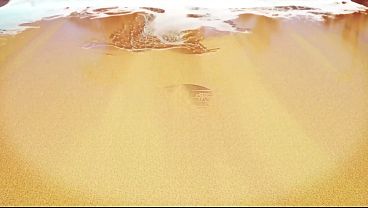 Image SUN7 - Minha Madrasta me Flagrou Espiando e me Castigou me Fazendo Viciar no seu Cu Guloso (COMPLETO NO RED)