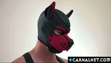 Image Legrand Wolf has told Pup Zander Woodz that he is free to do anything he wants with the pups and he can breed them