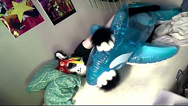 Image fat furry humps his new shiny pool toy