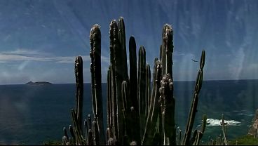 Image Slim blonde in outdoor threesome