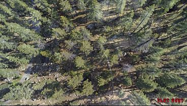 Image Slut Hunt Ep.7: Xxlayna's Holes Get Exploited: Teaser | Prod by Nade Nasty