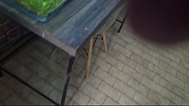 Image Sparowdox - update #2 - 1000061098 - Feb 10, 2026