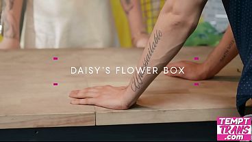 Image Beautiful Florist Daisy Taylor is Waiting for Her Date Night