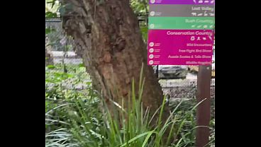 Image A Real Australian Experience With Aussie Hottie Jade Harper