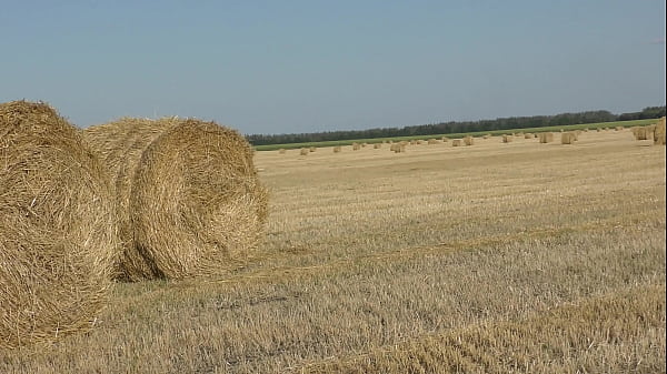 Image A naked girl moves rollers with hay!