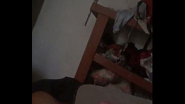 Image Carnaval 2026 leitada forte