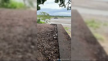 Image hoy he venido a una carretera y me ge masturbado hasta correrme a chorros espero que mis vecinos no me hayan visto