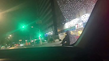 Image MARIDO SAI COM ESPOSA A PROCURA DE UM COMEDOR DESCONHECIDO PELAS RUAS DE S&Atilde_O PAULO - COMPLETO NO RED