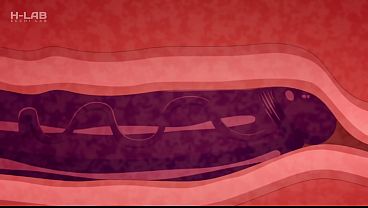 Image One Piece &ndash_ Luffy: Dios del Sol Nika