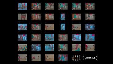 Image Une carotte pour la forme